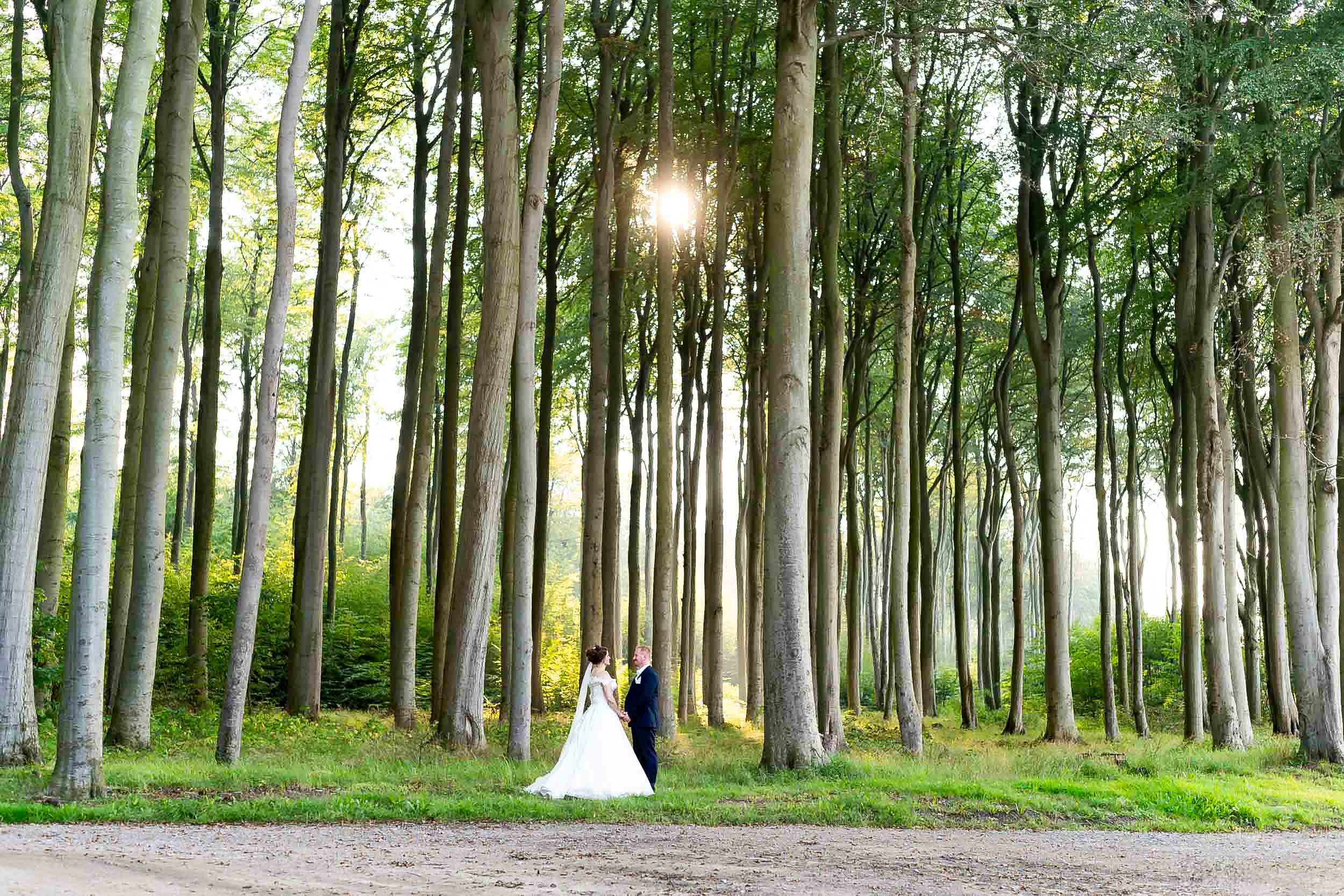 Hochzeiten 19 Hochzeiten